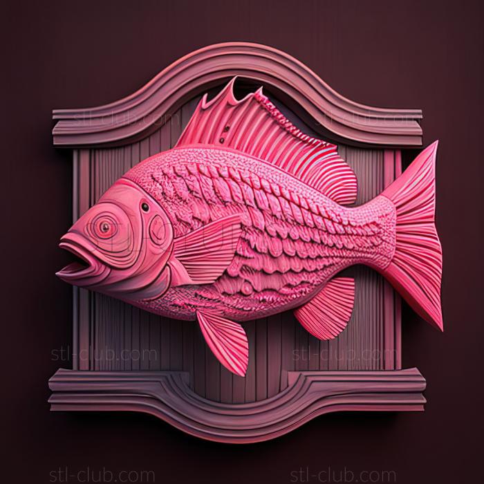 st Pink munchausia fish